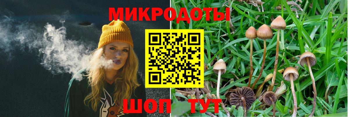 Псилоцибиновые грибы прущие грибы Карпинск