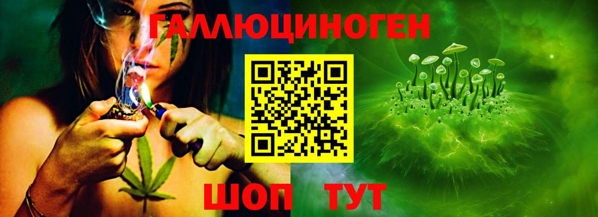 Карпинск  Галлюциногенные грибы Psilocybe  Вход с VPN 